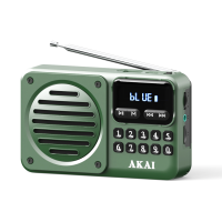 RADIO FM PORTABIL CU USB