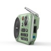 RADIO FM PORTABIL CU USB
