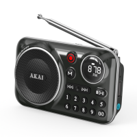 RADIO FM PORTABIL CU USB