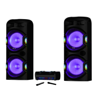 SISTEM AUDIO DUAL CU AMPLIFICATOR