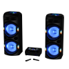 SISTEM AUDIO DUAL CU AMPLIFICATOR