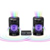 SISTEM AUDIO DUAL CU AMPLIFICATOR