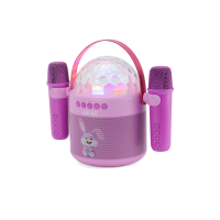 BOXA KARAOKE CU DOUA MICROFOANE FARA FIR