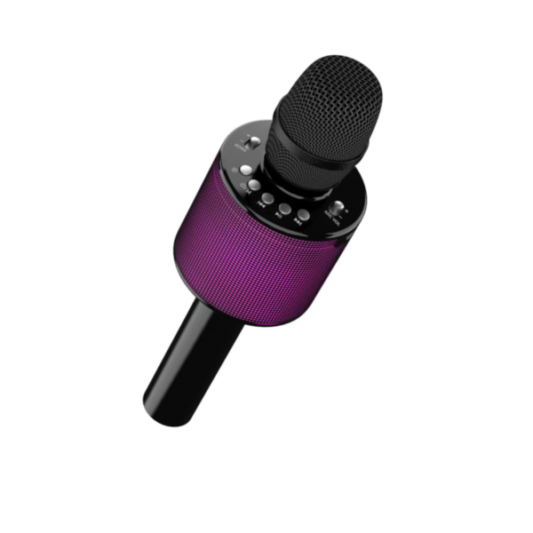 WIRELESS MICROPHONE WITH KARAOKE