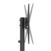 STAND TV 36-70”