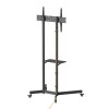 STAND TV 36-70”