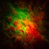 PROIECTOR LASER STELE GALAXIE MODEL ASTRONAUT
