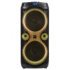 BOXA PORTABILA 2X10'/25CM 250W RMS CU USB/AUX