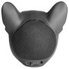 BOXA BLUETOOTH TWS CU MSD/AUX - BULLDOG FRANCEZ BOXA BLUETOOTH TWS CU MSD/AUX - BULLDOG FRANCEZ