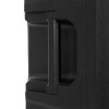 BOXA PORTABILA 12''/31CM 250W RMS TWS CU BT/USB + 2 MIC WIRELESS