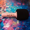 MICROFON KARAOKE CU DIFUZOR INCORPORAT - ROZ MICROFON KARAOKE CU DIFUZOR INCORPORAT - ROZ