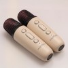 MINI BOXA KARAOKE CU MICROFON WIRELESS - ROZ