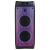 BOXA PORTABILA 2X6.5