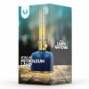 LAMPA LED RETRO 2W 3000K MODEL LAMPA PETROL
