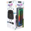 BOXA PORTABILA 2X4