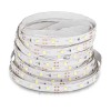 BANDA LED SMD3528 60LED/M 6000K IP20 5M