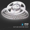 BANDA LED SMD5050 60LED/M 6000K IP20 5M