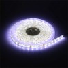 BANDA LED SMD5050 60LED/M 6400K IP65 5M