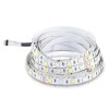 BANDA LED SMD5050 60LED/M RGB + ALB RECE IP20 5M