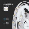 BANDA LED SMD5050 60LED/M RGB + ALB RECE IP20 5M