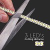 BANDA LED SMD2835 240LED/M 3000K IP20 5M