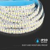 BANDA LED SMD2835 240LED/M 4500K IP20 5M