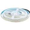 Banda led smd2835 240led/m 6400k ip20 5m cu 2000 lm