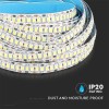 Banda led smd2835 240led/m 6400k ip20 5m cu 2000 lm Banda led smd2835 240led/m 6400k ip20 5m cu 2000 lm
