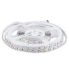 KIT BANDA LED SMD5050 RGB+W 6000K 60LED/M IP20 5M KIT BANDA LED SMD5050 RGB+W 6000K 60LED/M IP20 5M