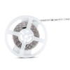 BANDA LED SMD5050 24V 60LED/M 6400K IP20 5M
