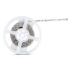 BANDA LED SMD5050 24V 60LED/M 3000K IP20 5M