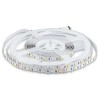 BANDA LED SMD5050 60LED/M RGB + ALB NEUTRU IP20 5M