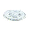 BANDA LED SMD5050 60LED/M RGB + ALB CALD IP20 5M