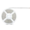 BANDA LED SMD5050 24V 60LED/M 6400K IP65 5M