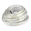 BANDA LED SMD5050 24V 60LED/M 6400K IP65 5M