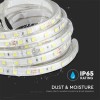BANDA LED SMD5050 24V 60LED/M 6400K IP65 5M