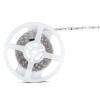 BANDA LED SMD5050 RGB 60LED/M IP20 5M