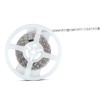 Banda led 24vsmd5050 rgb 60led/m ip20 10m - iluminare flexibilă Banda led 24vsmd5050 rgb 60led/m ip20 10m - iluminare flexibilă