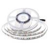 Banda led smd2835 120led/m 24v 6500k - rola 10m