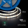 Banda led 8mm 10w/m 24v ip20 rola 10m 6500k cip cree