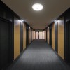 PLAFONIERA LED 12W IP20 SENZOR DE MISCARE 3IN1 - ALB PLAFONIERA LED 12W IP20 SENZOR DE MISCARE 3IN1 - ALB