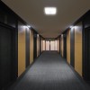 PLAFONIERA LED 12W IP20 SENZOR DE MISCARE 3IN1 - ALB PLAFONIERA LED 12W IP20 SENZOR DE MISCARE 3IN1 - ALB