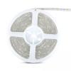 BANDA LED SMD5050 30LED/M 4000K IP65 5M BANDA LED SMD5050 30LED/M 4000K IP65 5M