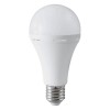 BEC LED A80 EMERGENTA 3 ORE 12W 4000K BEC LED A80 EMERGENTA 3 ORE 12W 4000K
