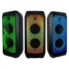 BOXA PORTABILA 2X8