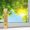 Termometru de interior/exterior velamp 20cm din lemn elegant pentru utilizare versatilă Termometru de interior/exterior velamp 20cm din lemn elegant pentru utilizare versatilă