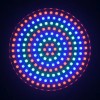 PAR LED RGB 175 LED-URI MATRIX