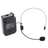 BOXA PORTABILA 12''/30CM + TWEETER 250W BT/USB/FM/SD + 2MIC VHF