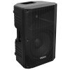 BOXA ACTIVA 12 BOXA ACTIVA 12