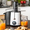 STORCATOR FRUCTE 1000W AD 4128 ADLER